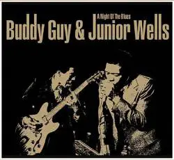 Buddy Guy : Night of the Blues